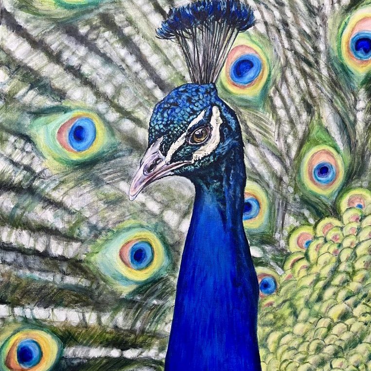 peacock